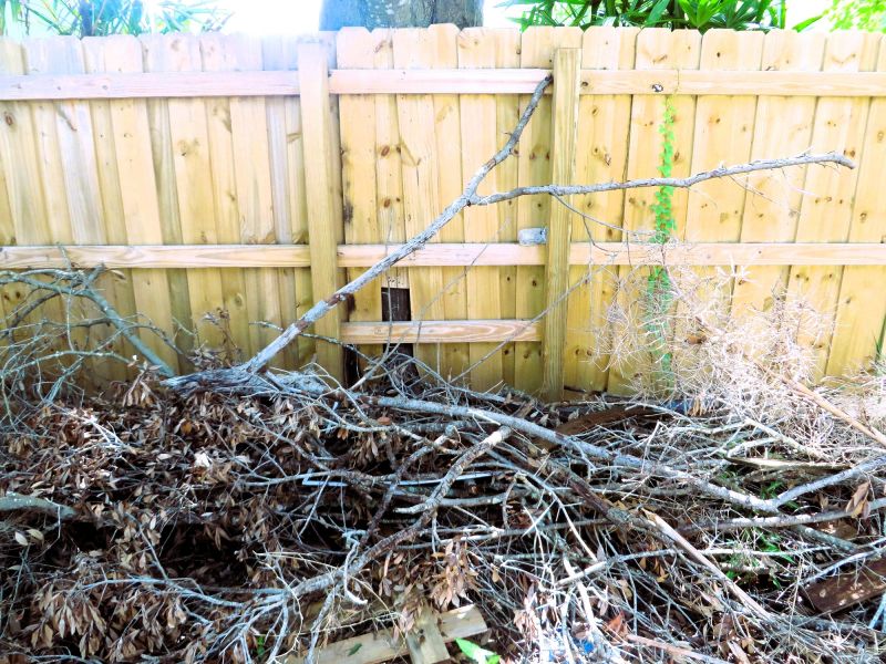 Quick Maintenance Habit