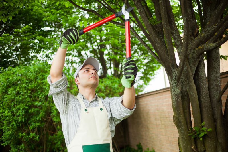 Tree Pruning in Dormant Season